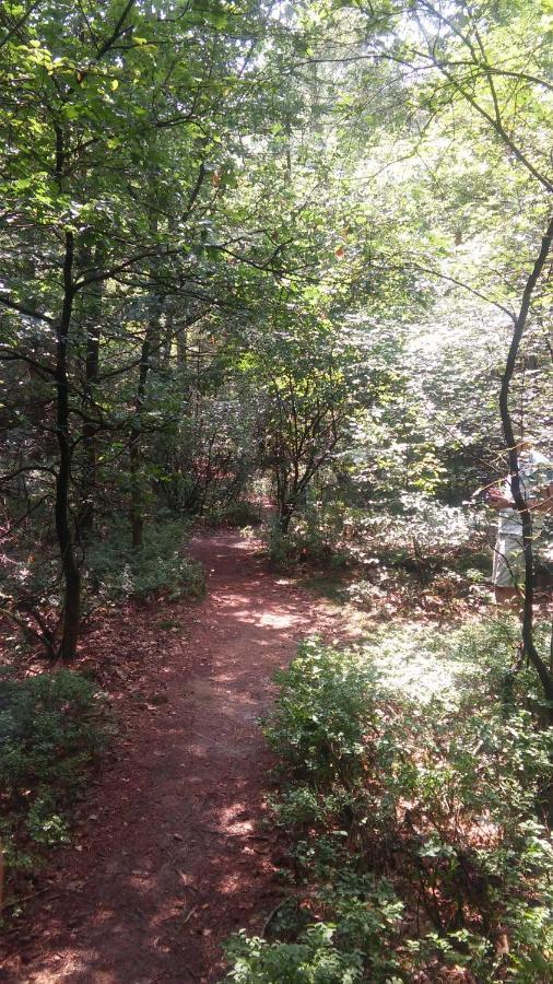 Poort Van De Veluwe Voorthuizen Extérieur photo