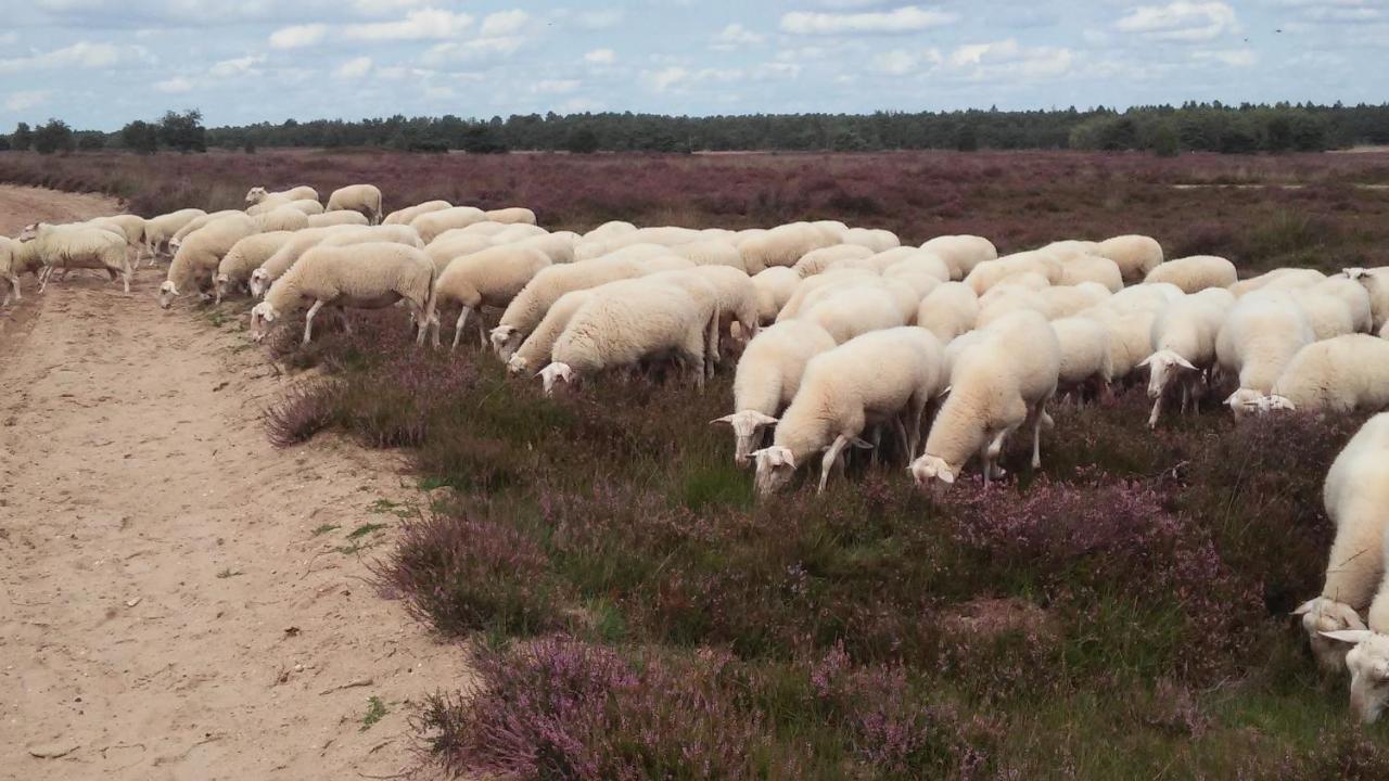 Poort Van De Veluwe Voorthuizen Extérieur photo