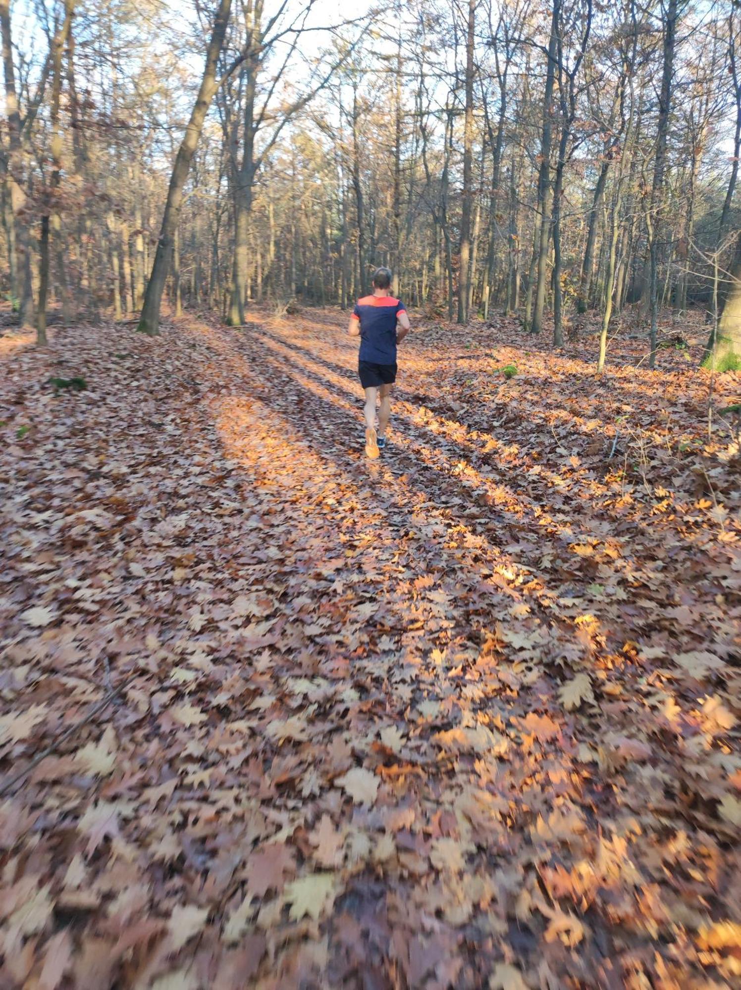 Poort Van De Veluwe Voorthuizen Extérieur photo